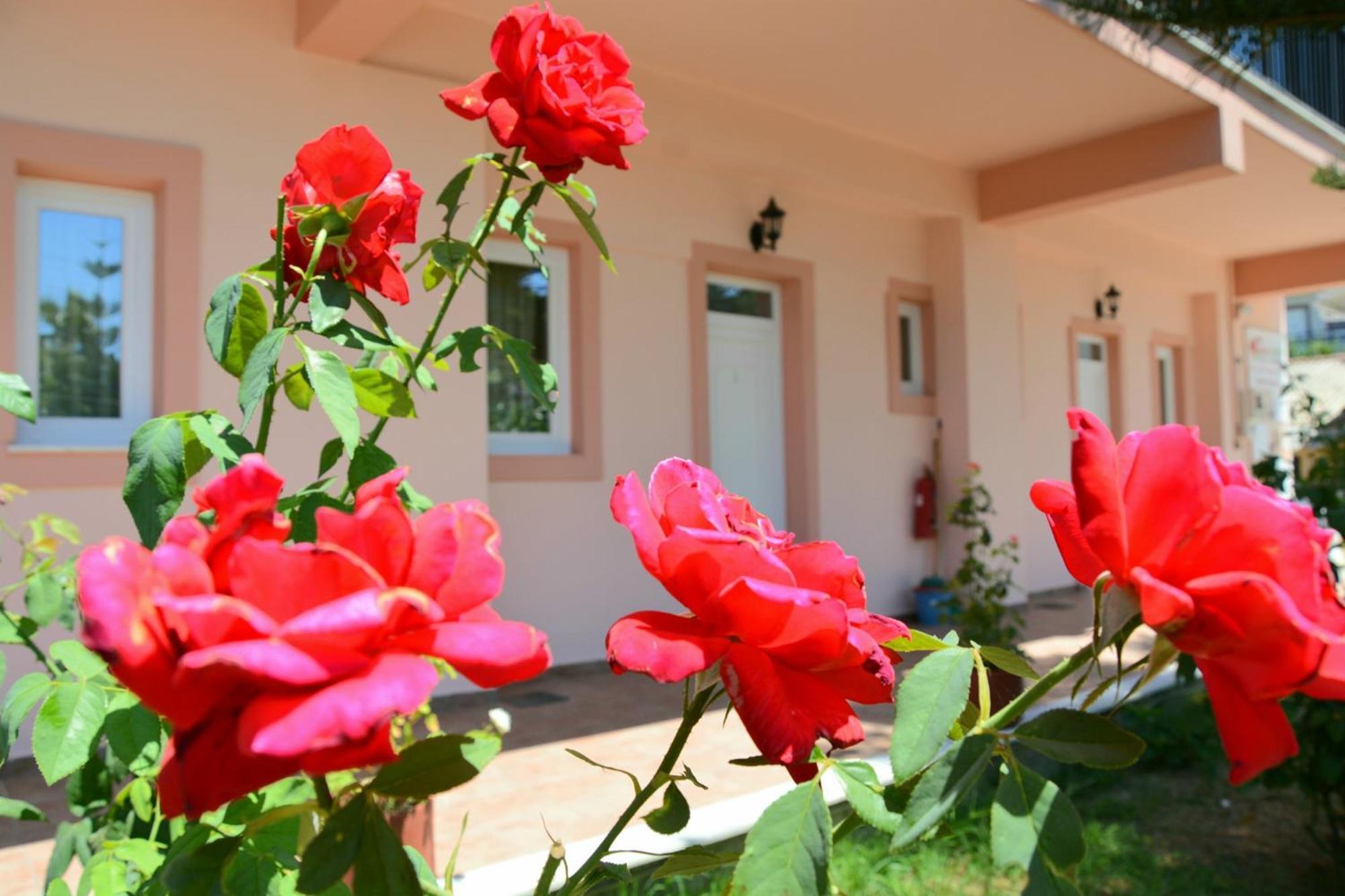 Apartmán Red Rose Garden Tsilivi  Exteriér fotografie