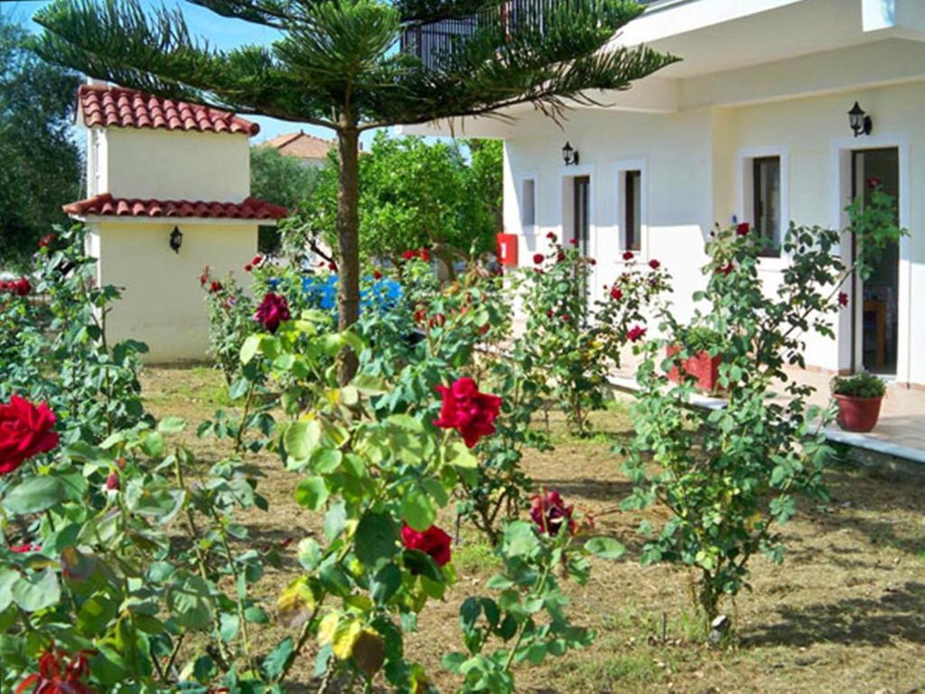 Apartmán Red Rose Garden Tsilivi  Exteriér fotografie