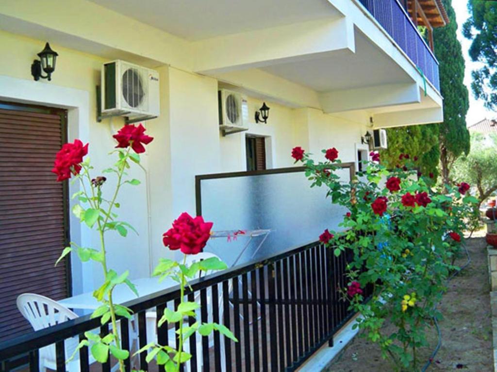 Apartmán Red Rose Garden Tsilivi  Exteriér fotografie